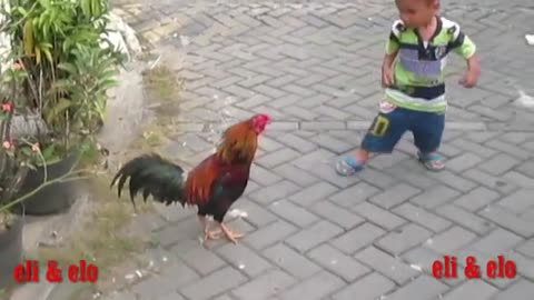 kids test their guts with chicken