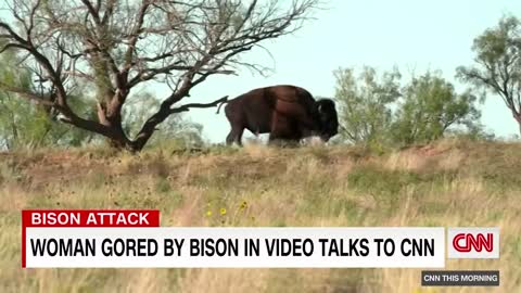 Texas woman gored by bison in viral video