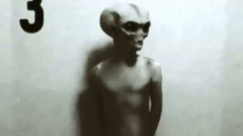 "REAL ALIEN PICTURES"