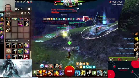 Existe dois tipos de pessoas Gw2