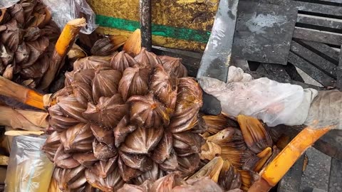 The Most Unique Fruit in the World - Giant Nipa Palm Fruit Cutting Skill