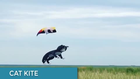 Cool kites You've never seen before with footage - UTTRAYAN Special... by ITOPINGS