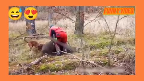 Very interesting video 😲😊🐕😺🐒🐶😍