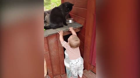 Cutest Babies Play With Dogs And Cats Compilation -- Cool Peachy