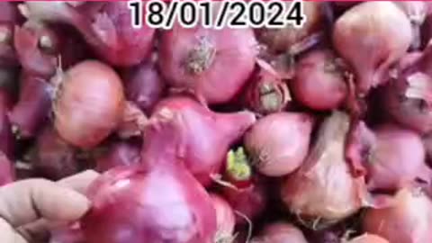 Today garlic onion potato mandi rate 2024