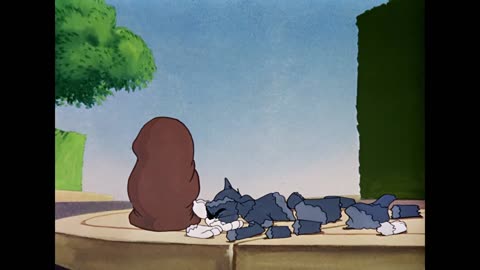 Tom & Jerry