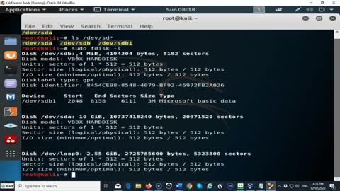 Simulate Creating a Disk Image for a Forensic Analysis