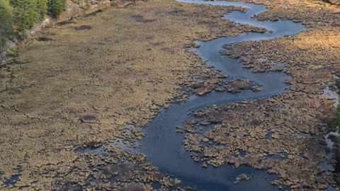 Ontario Wilderness Drone Flight Over Crown Land