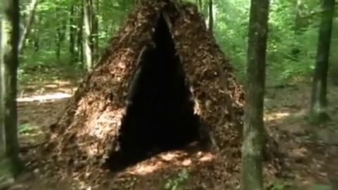 PRIMITIVE SURVIVAL, Debris Wikiup, Standup Emergency Shelter