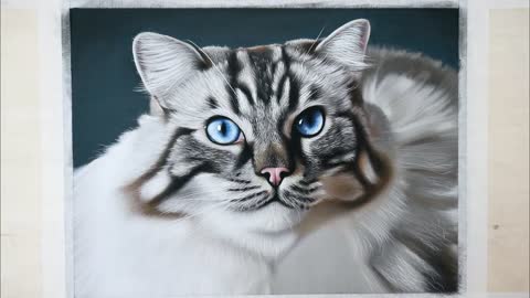 PHOTO-REALISTIC CAT DRAWING | Color Pastel Pencil Animal Art - Time-Lapse