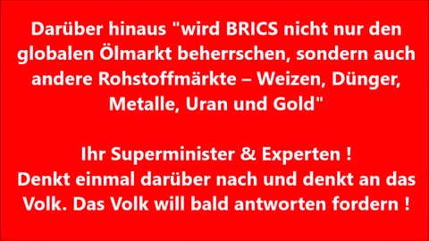 BRICS - "Entdollarisierungskoalition" will neue Reservewährung schaffen