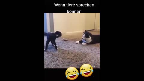 Mein Film, Wenn Tiere sprechen könnten!