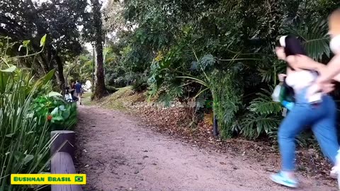 Bushman Prank with brazilian