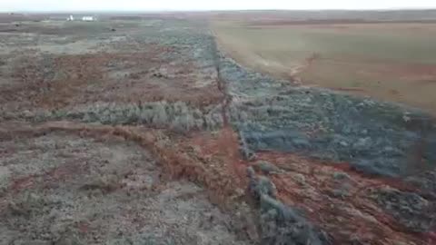 Deer herd Comanche county Kansas