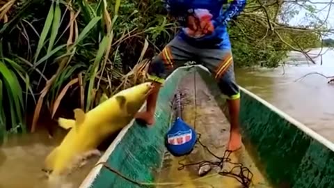 Prepare to be amazed by this little boy's catch!.hd #USA #Canada #germany