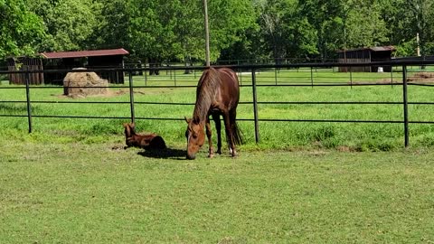 Peaceful afternoon