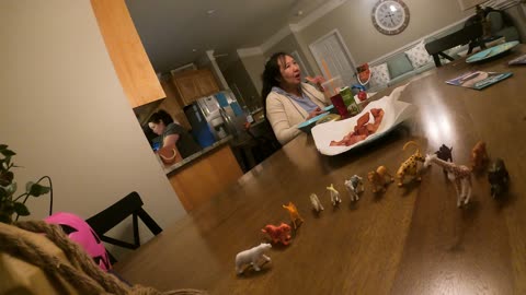 Family Supper Timelapse