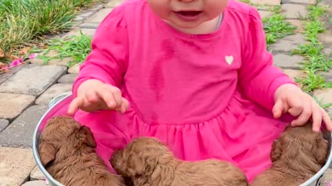 Newborn puppies with a baby