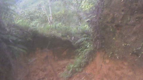 8ft high well established trail into the jungle from Volcanic hot spring (ancient travel trail)