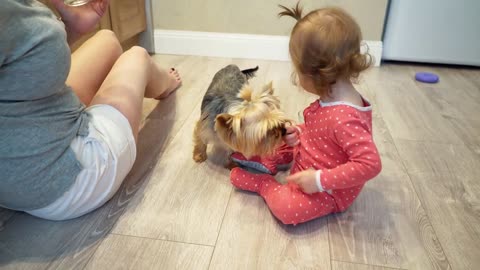 Cute little girl and funny dog at home. Mom and daughter are feeding a small dog