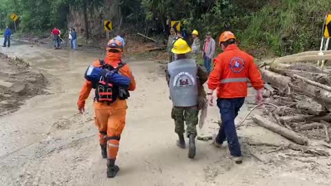 Perro sobrevive a la emergencia en Piedecuesta