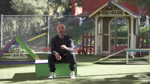 HOW TO TEACH A DOG ANYTHING! With Cesar Millan!