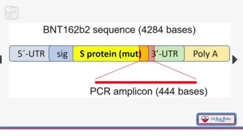 CONFIRMED VAXX HACK AND DAMAGE/CHANGE TO HUMAN DNA