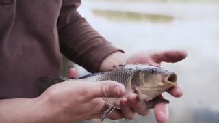 SMALL FISH CATCH AND RELEASE