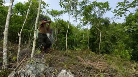 Macaws Released Into The Wild | Jungle Animal Hospital