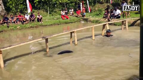 Cycling Competition On Pond farm fish on small wood bridge