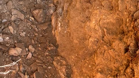 Outcrop rhyolite with pyrite, sericite and Au.