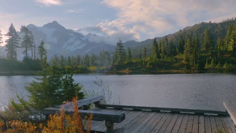 8 Hours of Birds Singing on the Lakeshore and Water Sounds - Relaxing Nature Sounds - Mount Shuksan