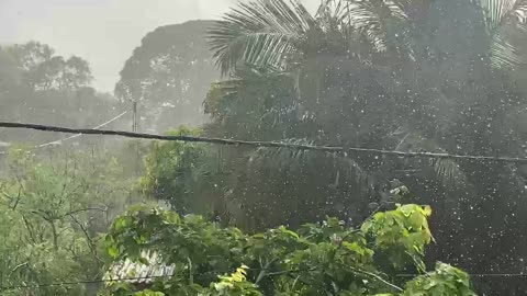 Summer rain in beautiful place