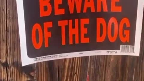 Beware of the dog