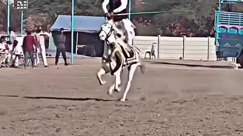 Horse riding skills