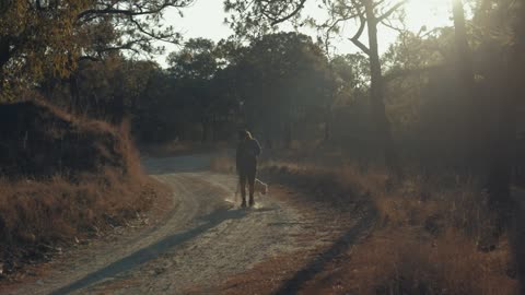 A man walking his dog at a forestin the morning