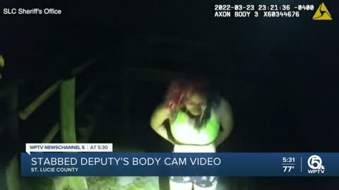 Body Camera Video Shows St. Lucie County Deputy Stabbed in Neck