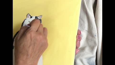 Jimothy the Cat Painting - Watch the Kitty Come to Life!