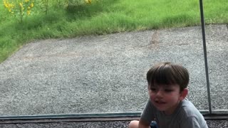 Lion Waits for the Right Time to Pounce behind Glass