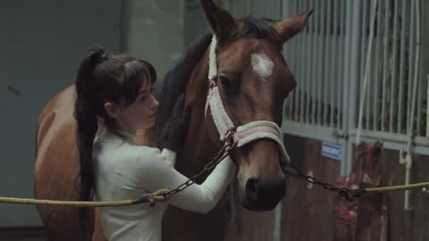 A rider stroking her horse