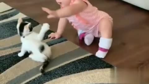 Kitten play with baby