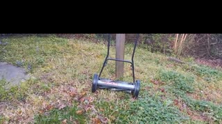 Reel Lawn Mower