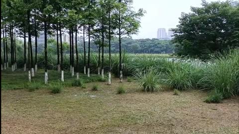 The perfect combination of landscape and river