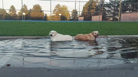 Puddle jumpers