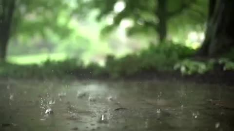 Rain