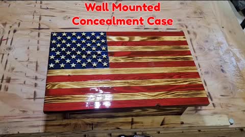 Small Size Concealment Case