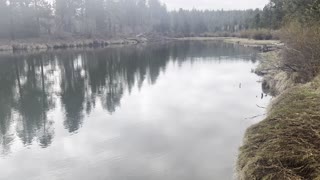 Still & Calm Deschutes River Trail – Central Oregon – 4K