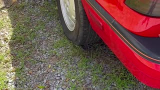 1987 Dodge Daytona Shelby Z