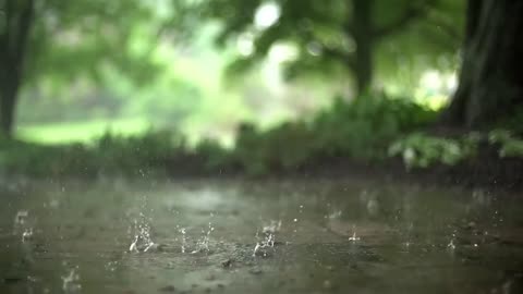 Early Morning Rain for Sleeping, Relaxing Video for Stress Relief, Rain cinematic video.