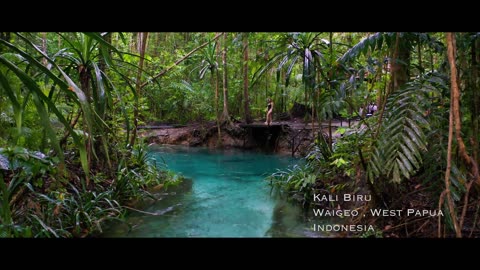 Blue River Raja Ampat, Indonesia